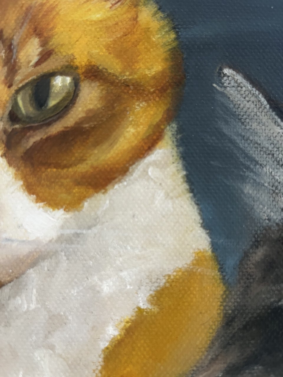 Food, please! — details