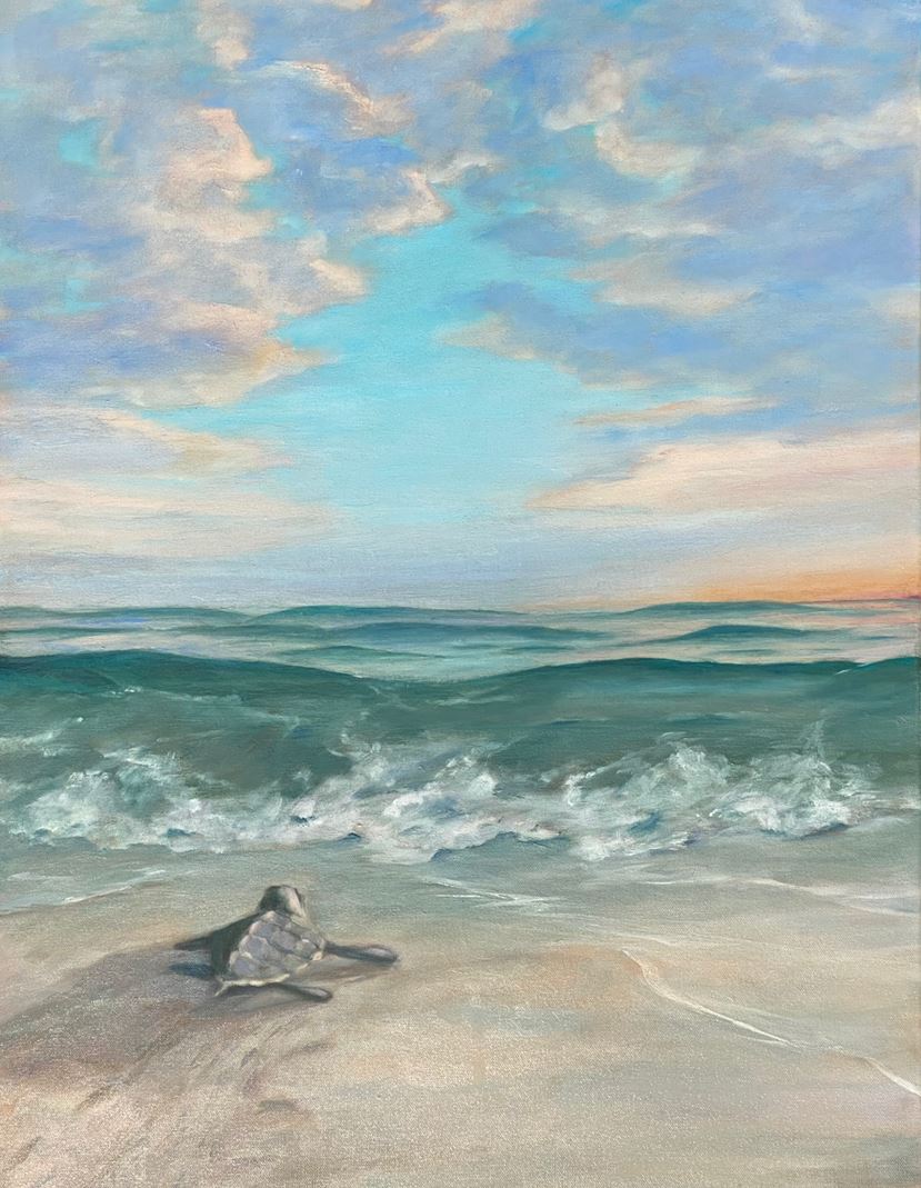 Turtle — full view